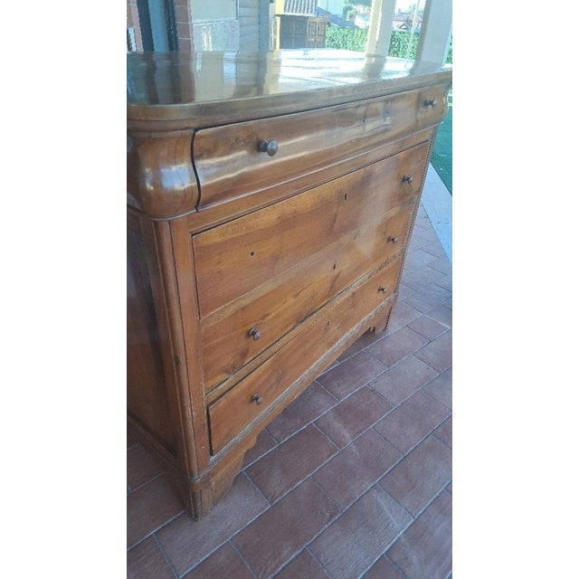 Cappuccino Chest of Drawers in Walnut For Sale - Image 3 of 8