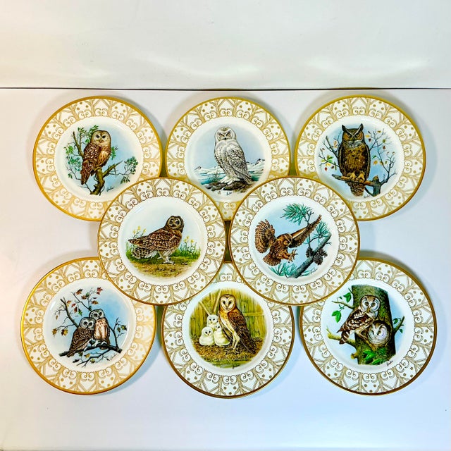 1980 Vintage Arts & Crafts English Bone China Owl Dinner Plates -Set of 8. For Sale - Image 4 of 18