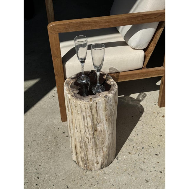 Large White Side Table in Petrified Wood For Sale - Image 16 of 18