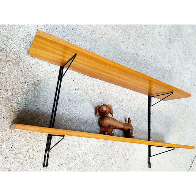 Black Mid-Century Modern Elm Wall Shelf, Germany, 1960s For Sale - Image 8 of 13