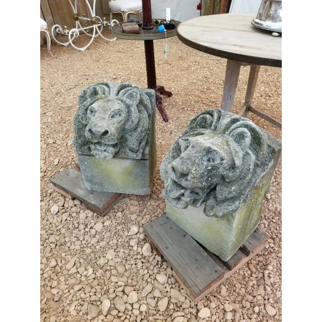 Pair of Antique Carved Granite Lion Heads For Sale - Image 10 of 12
