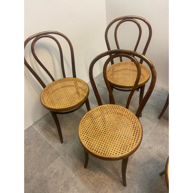 Thonet Chairs from Thonet, 1920s, Set of 4 For Sale - Image 4 of 8