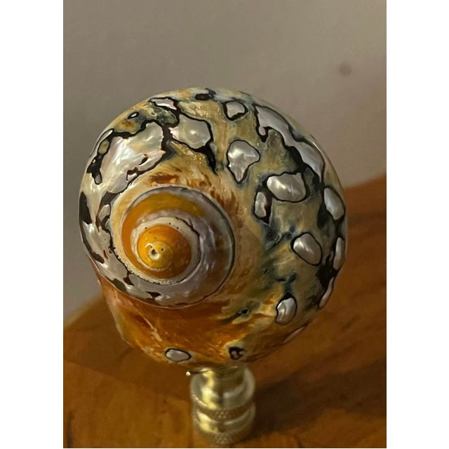 Coastal 1970s Gorgeous Pair of Brien Turbo Shells Lamp Finials For Sale - Image 3 of 4
