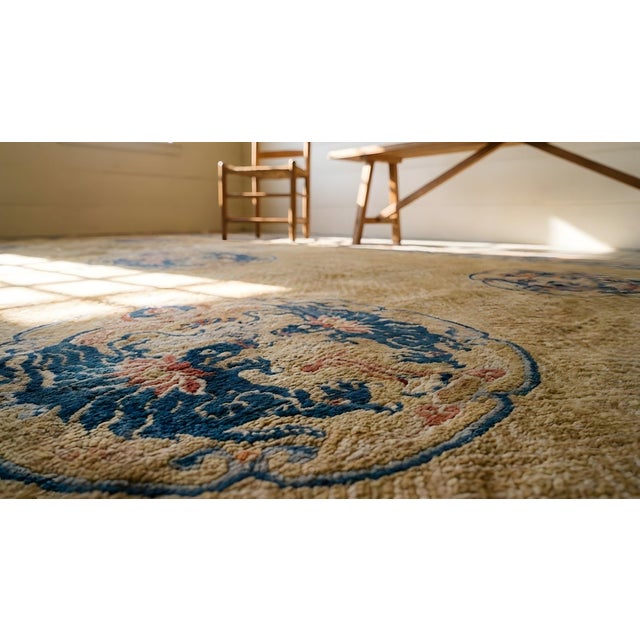 Exceptional Beige Background Color and Blue Border With Animalia Pattern Antique Chinese Rug For Sale - Image 15 of 15