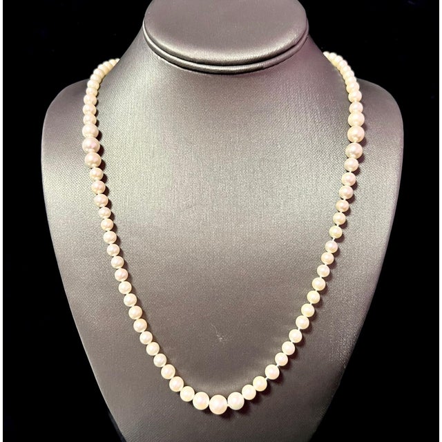 Akoya Pearl Necklace 28.5" 14k Gold 8.50 mm Certified For Sale - Image 10 of 12