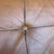 Metal Tan Leather Mid Century Barcelona Style Lounge Chair For Sale - Image 7 of 12