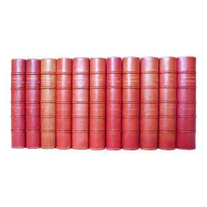 Late 19th Century Illustrated Red Leather Volumes, the Works of Alphonse Daudet - 11 Books.