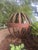 Brown Enormous Garden Sculpture of Orb For Sale - Image 8 of 8