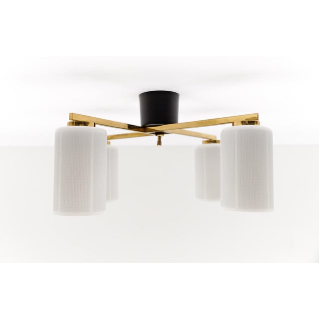 Mid-Century Modern Four-Armed Brass and Glass Lamp, 1950s For Sale - Image 13 of 13