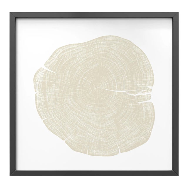 Stump 1 - Variation 4 by Trinette + Chris Print with Black Frame - 36 X 36 For Sale