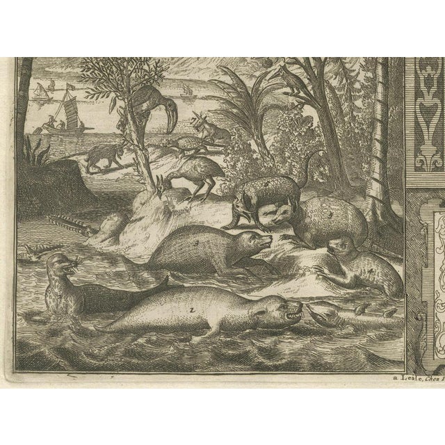 R. De Hooghe, The Diverse Fauna of the Indies, Paper For Sale - Image 6 of 8