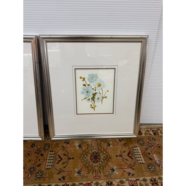 Blue Blue Botanical Art Reproduction Prints, Set of Three For Sale - Image 8 of 12