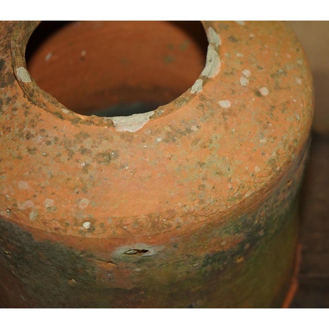 Antique English Terracotta Seakal Rhubarb Forced Planter, 1880 For Sale - Image 4 of 12