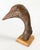 We are selling this simple folk art found object. This great piece is a piece of found driftwood that looks distinctly...