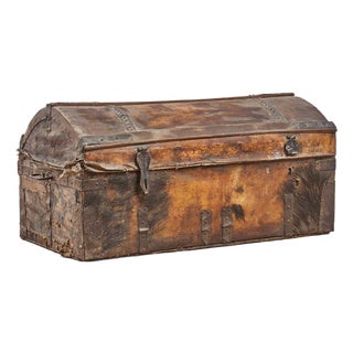 Trunk with Wild Boar Skin For Sale