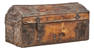 Trunk with Wild Boar Skin