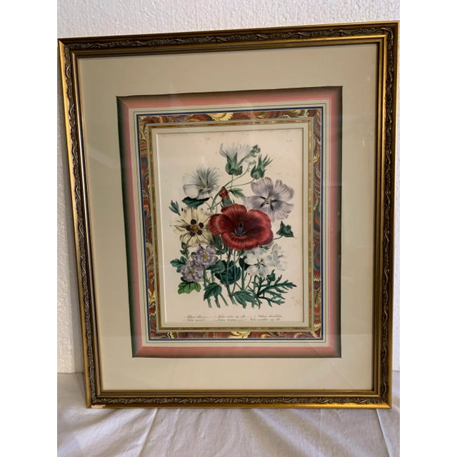 Mid 19th Century Lady Jane Loudon Hand Colored Botanical Print, Framed For Sale - Image 9 of 9