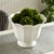 Early 21st Century Mirabelle Fluted Cachepot Large For Sale - Image 5 of 7