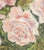 American Pink Roses Oil on Canvas Panel, 20th Century For Sale - Image 4 of 7