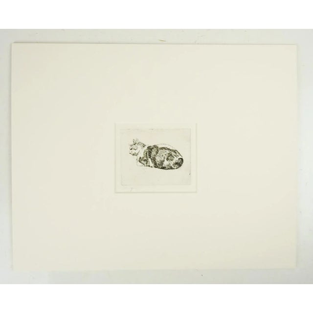 Small mid 20th century etching on paper of sleeping cat. Unsigned, titled "Ginger" in pencil along lower margin. Unframed,...