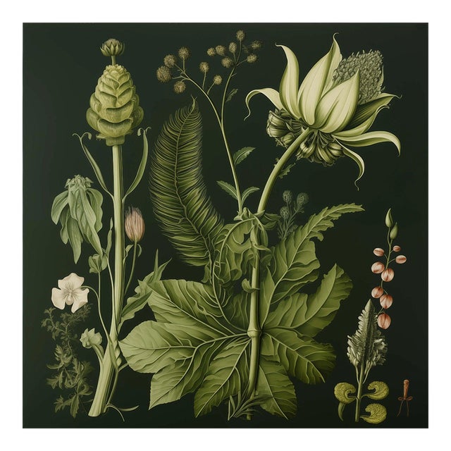 20' X 20' Original Watercolor Botanical Fine Art Print - Dark Green, Unframed For Sale
