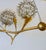 Currey & Company ModernSilver and Gold Dandelion Chandelier For Sale In Atlanta - Image 6 of 7