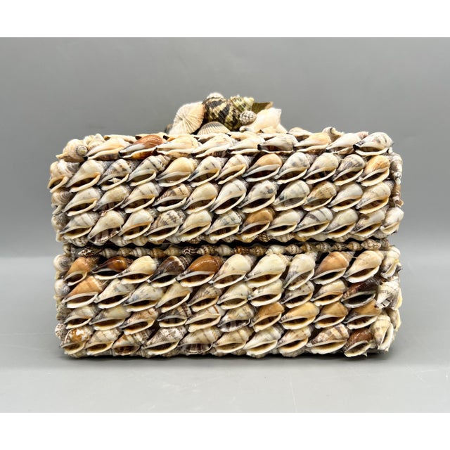Shell Vintage Coastal Seashell Covered Shell Encrusted Box – Coastal / Tropical For Sale - Image 7 of 18