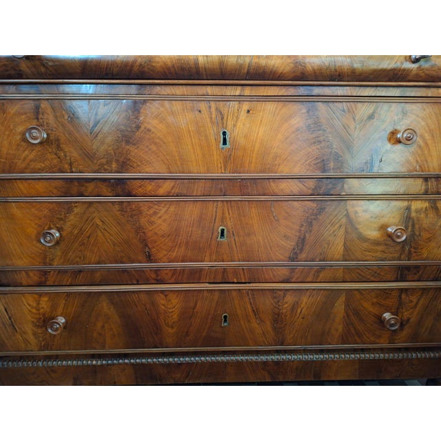 Chest of Drawers in Walnut, 1890 For Sale - Image 17 of 18