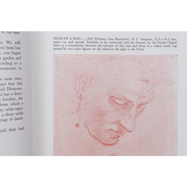 Michelangelo - Complete Works For Sale - Image 4 of 11
