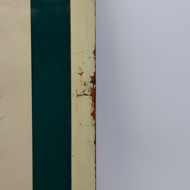 1950s 1950s Cock Of The Rocks Original Print For Sale - Image 5 of 5