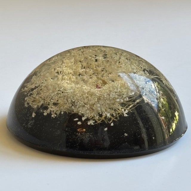 Mid-Century Modern Mid-20th Century Signed William Rolfe Botanical Resin Paperweight For Sale - Image 3 of 15