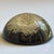 Mid-Century Modern Mid-20th Century Signed William Rolfe Botanical Resin Paperweight For Sale - Image 3 of 15