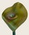 Orient & Flume Iridescent Art Glass Pulled Feather Jack in the Pulpit Vase 1980 For Sale - Image 9 of 10