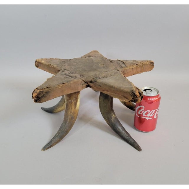 American Folk Art Star Pincushion on Mounted Cattle Horn Base, Early 20th Century For Sale - Image 9 of 9