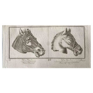 Various Old Masters, Animal Figures from Ancient Rome, Original Etching, 1750s For Sale