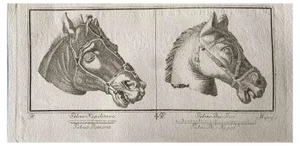 Various Old Masters, Animal Figures from Ancient Rome, Original Etching, 1750s