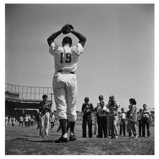 'Mighty Acorn' Unframed Archival Pigment Print For Sale