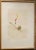 Contemporary Tom Marioni "Finger Print" Signed and Numbered Color Etching For Sale - Image 3 of 11
