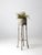 This tall antique wicker plant stand features a sculptural, airy silhouette with a tightly woven basket and slender...