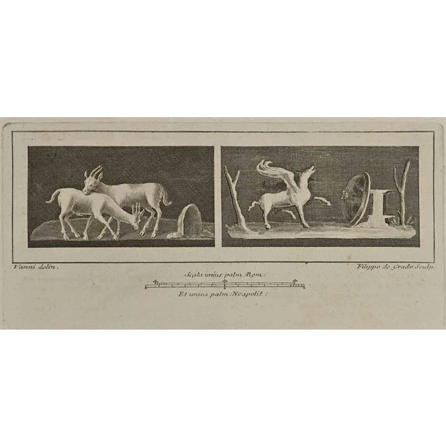 Ancient romanfresco "antiquities of herculaneum exposed", is an etching realized by filippo de grado in the late 18th...
