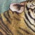 Wood Tiger Head Intricate Needlepoint Victorian Framed Artwork For Sale - Image 7 of 13