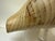 Late 20th Century Sarreid Ltd. Style Large Carved Wood Conch Shell Sculpture on Acrylic Base For Sale - Image 12 of 18