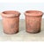 An English pair of large terracotta planters, perfect for any courtyard, patio, garden, or greenhouse. These pots are...