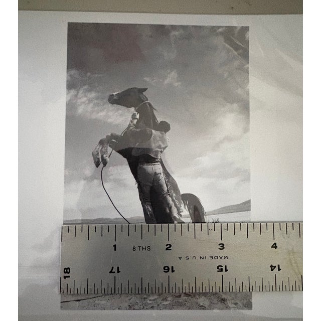 Ernst Haas Limited Edition Photograph, “Leaping Horse” - ‘The Misfits’ (1960), Nevada For Sale In New York - Image 6 of 6