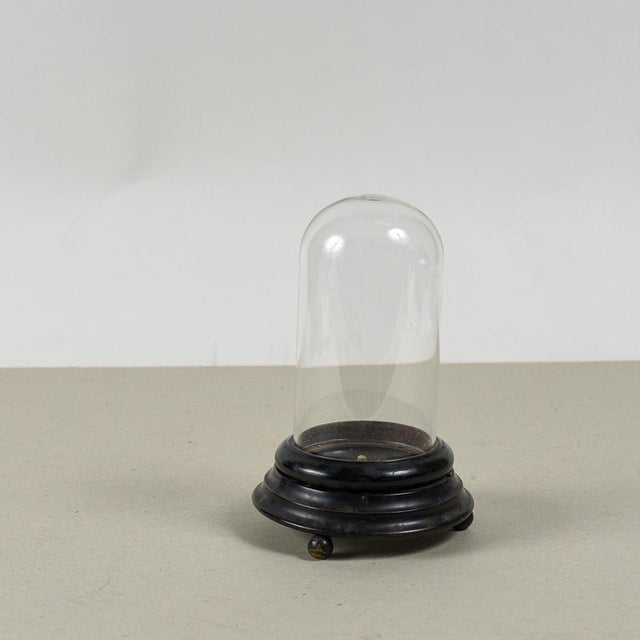 Wood 19th Century Ebony-Colored Bell-Shaped Relic Case For Sale - Image 7 of 9