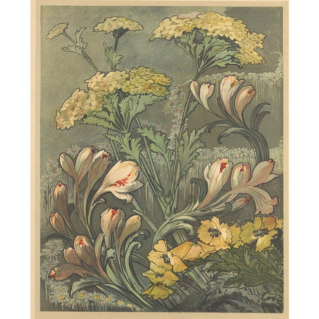 This is a rare beauty. It is a French antique Art Nouveau botanical chromolithograph that came from an unbound album...