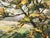 Textile Lush Tree Lined Towpath on the River Lagan in Northern Ireland by Irish Artist 1986 For Sale - Image 7 of 18