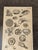 Framed antique marine life engraving depicting sea anemones, shells, and related ocean specimens rendered in exceptional...