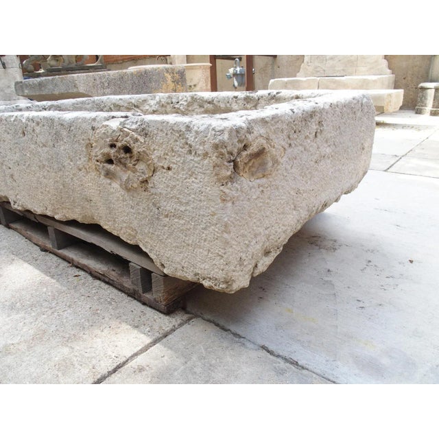 A Wide 18th Century Carved Limestone Trough From the South of France For Sale - Image 15 of 18