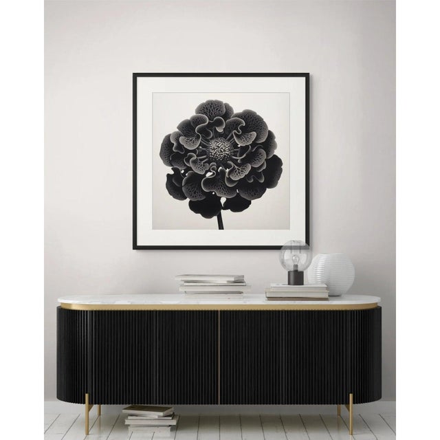 Contemporary Heliotropium Flower — Vintage Botanical Photography Print For Sale - Image 3 of 3